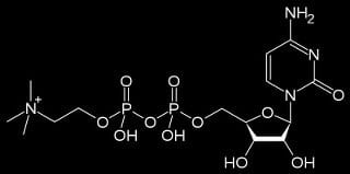 CDP choline