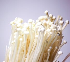 Enokitake