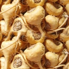 Maca root