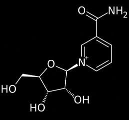 Nicotinamide Riboside
