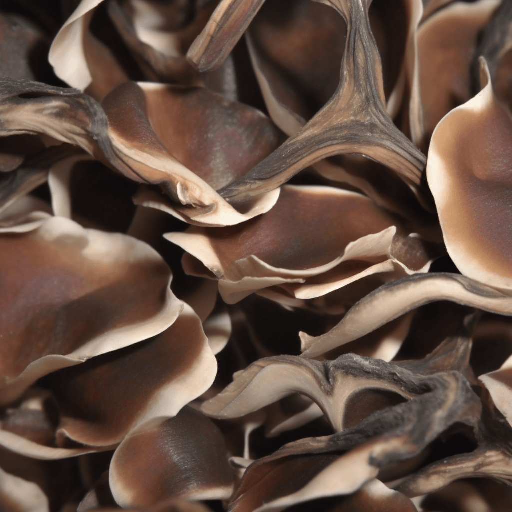 Anxiety, Depression, Stress, trinity, interstellar plan, herbal blends, ADHD herbs, ULTIMATE FASTING COMPANION, MIND BODY SPIRIT HARMONIZER, OBLITERATES ANXIETY, Antioxidant activity, Invigorate the circulation of blood, Learning and memory enhancing activity, Improve cancer related fatigue, mental focus