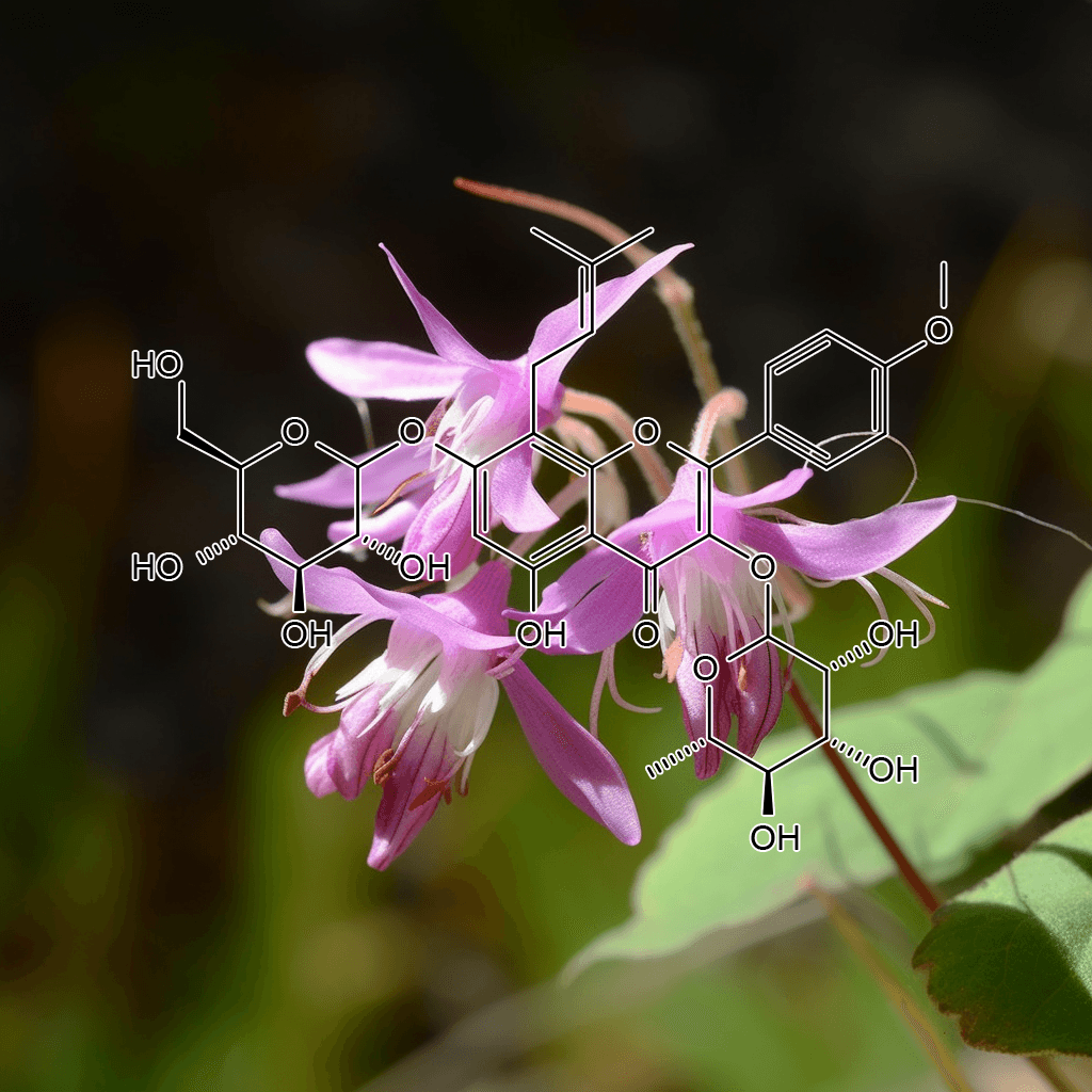 Anxiety, Depression, Stress, trinity, interstellar plan, herbal blends, ADHD herbs, ULTIMATE FASTING COMPANION, MIND BODY SPIRIT HARMONIZER, OBLITERATES ANXIETY, Antioxidant activity, Invigorate the circulation of blood, Learning and memory enhancing activity, Improve cancer related fatigue, mental focus