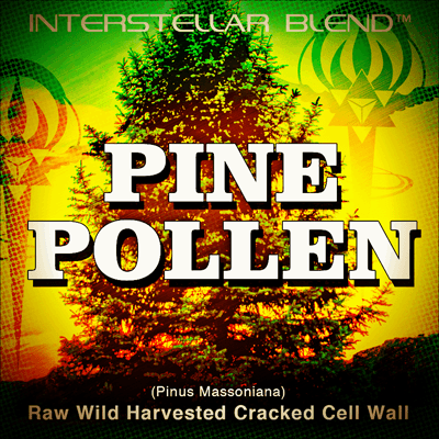 INTERSTELLAR PINE POLLEN