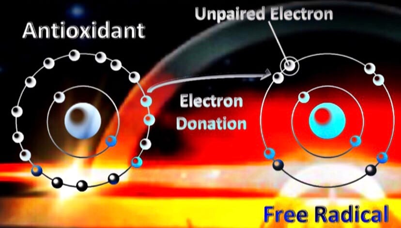 Oxidative Stress – The Scientific Studies