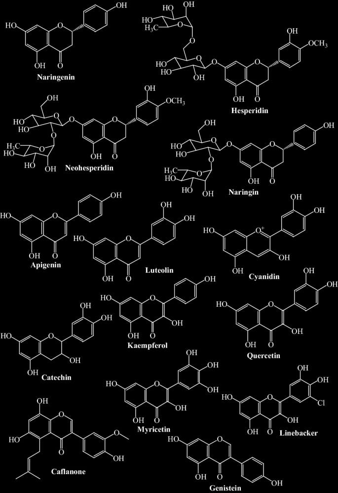 Lung power, lung health, resistance to viral infection, COPD, acute bronchitis, respiratory inflammatory disorders, respiratory disease, lung cancer, respiratory ailments, Non-Small Cell Lung Cancer, acute lung injury, lung injury, herbal remedies for lungs, herbal remedies bronchitis, Interstellar Plan, Interstellar blends