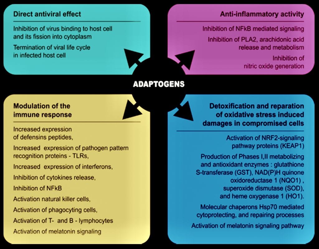 Lung power, lung health, resistance to viral infection, COPD, acute bronchitis, respiratory inflammatory disorders, respiratory disease, lung cancer, respiratory ailments, Non-Small Cell Lung Cancer, acute lung injury, lung injury, herbal remedies for lungs, herbal remedies bronchitis, Interstellar Plan, Interstellar blends