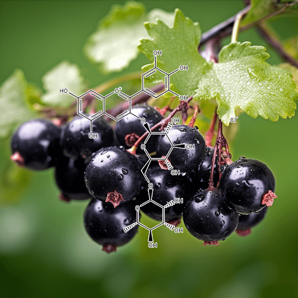 GLP-1, GLP-1 Activator, GLP-1 receptor agonists, Glucagon-like peptide 1, gastric inhibitory polypeptide, incretin-mediated, incretin effect, incretins, Modulates Appetite, Anorexigenic Effect, addictive disorders, Obesity, increase satiety, anti-addiction treatment, food cravings, alcohol addiction, food addiction, GLP1