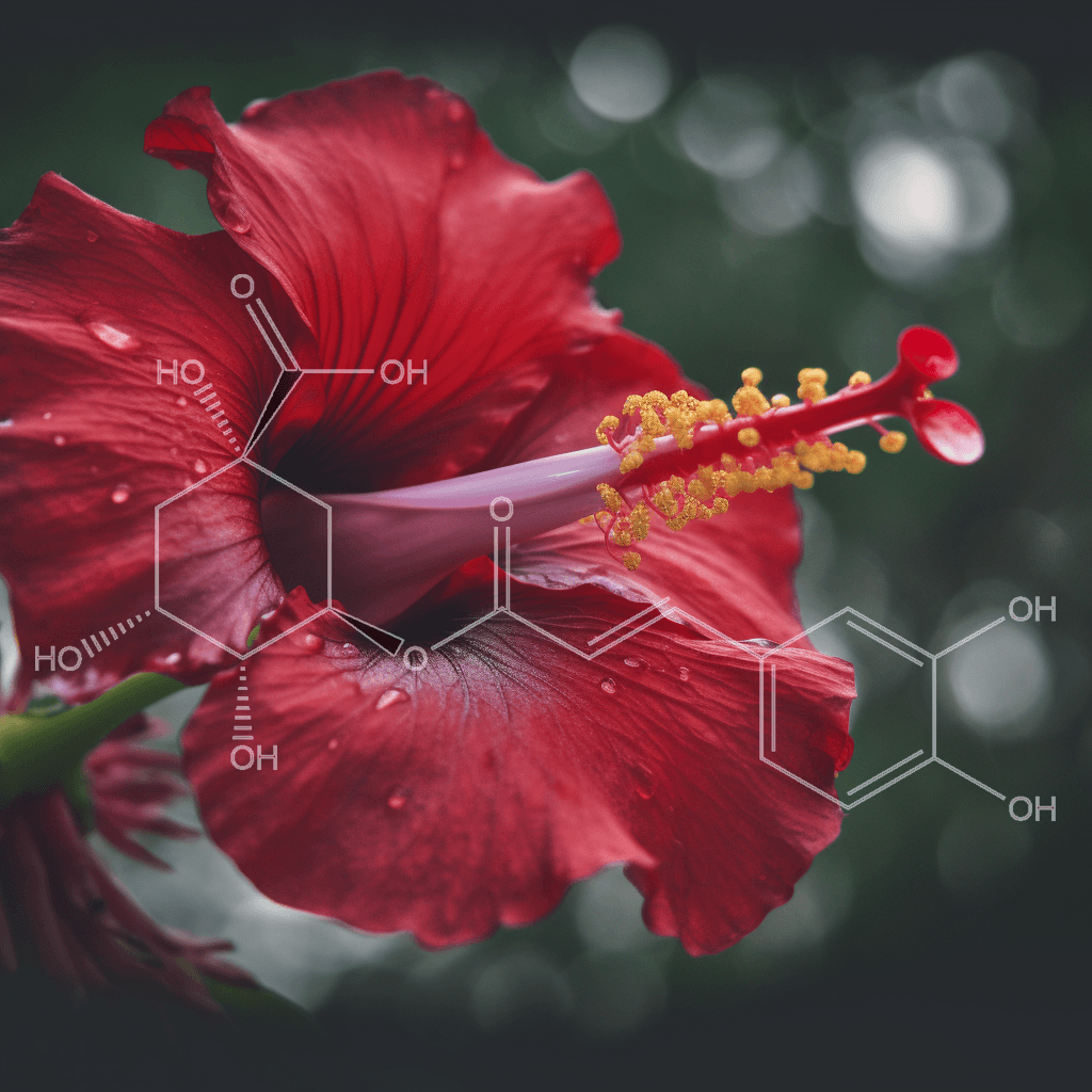 GLP-1, GLP-1 Activator, GLP-1 receptor agonists, Glucagon-like peptide 1, gastric inhibitory polypeptide, incretin-mediated, incretin effect, incretins, Modulates Appetite, Anorexigenic Effect, addictive disorders, Obesity, increase satiety, anti-addiction treatment, food cravings, alcohol addiction, food addiction, GLP1